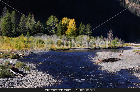 Yellowstone national park Yellowstone national park stock photo, Beautiful autumn scene in Yellowstone national park by Sreedhar Yedlapati