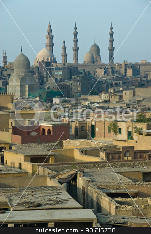Slums Slums stock photo, Slums with temple on horizon, Egypt, Cairo by Fiona Ayerst Underwater Photography