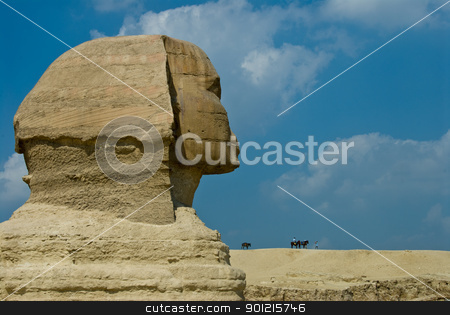 Side of sphinx Side of sphinx stock photo, Close up of sphinx head from the side, Egypt, Cairo by Fiona Ayerst Underwater Photography