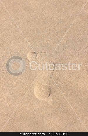 To use this stock image in your creative project, please select the size you need over to the right and click the "Add to Cart" button.
Your downloaded image will come with the Cutcaster watermark removed so don’t worry about the watermark you see on this page. trace of a child's foot on the sand of the beach stock photo, trace of a child's foot on the sand of the beach by Chretien