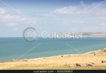 To use this stock image in your creative project, please select the size you need over to the right and click the "Add to Cart" button.
Your downloaded image will come with the Cutcaster watermark removed so don’t worry about the watermark you see on this page. landscape of the Opal Coast in France stock photo, landscape of the Opal Coast in France by Chretien