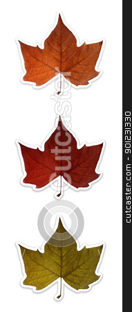 Autumn leaves isolated over white with clipping path Autumn leaves isolated over white with clipping path stock photo, Fall leaf in 3 colors isolated over white. Each colored flower has it's own named clipping path, so you can easily cut them out and place over the top of a design. by Cienpies Design