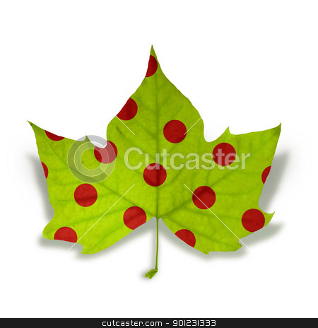 Fashion Autumn leaf isolated over white with clipping path Fashion Autumn leaf isolated over white with clipping path stock photo, Decorative fall leaf with red dot texture isolated over white background with clipping path, so you can easily cut it out and place over the top of a design. by Cienpies Design