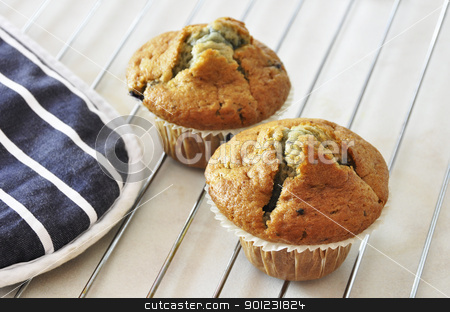 To use this stock image in your creative project, please select the size you need over to the right and click the "Add to Cart" button.
Your downloaded image will come with the Cutcaster watermark removed so don’t worry about the watermark you see on this page. Two blueberry muffins stock photo, Two freshly baked blueberry muffins by Dutourdumonde
