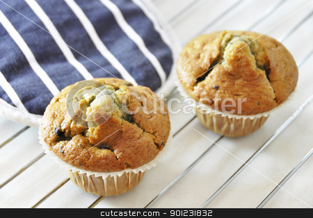 Two blueberry muffins Two blueberry muffins stock photo, Two freshly baked blueberry muffins by Dutourdumonde