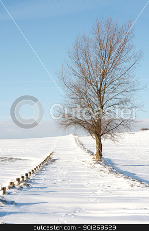 Snow Snow stock photo, Snow landscape by Lasse Kristensen@gmail.com
