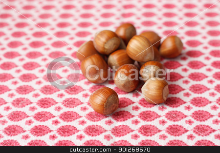 Hazelnuts Hazelnuts stock photo, Hazelnuts by Lasse Kristensen@gmail.com