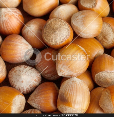 To use this stock image in your creative project, please select the size you need over to the right and click the "Add to Cart" button.
Your downloaded image will come with the Cutcaster watermark removed so don’t worry about the watermark you see on this page. Hazelnuts stock photo, Hazelnuts by Lasse Kristensen@gmail.com
