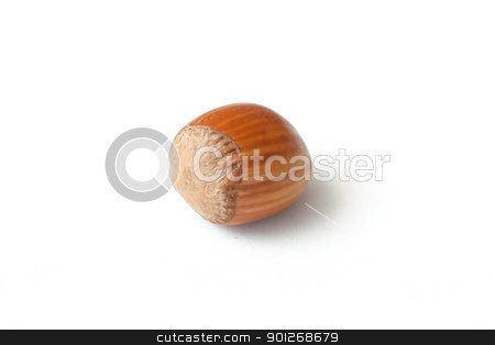 To use this stock image in your creative project, please select the size you need over to the right and click the "Add to Cart" button.
Your downloaded image will come with the Cutcaster watermark removed so don’t worry about the watermark you see on this page. Hazelnuts stock photo, Hazelnuts by Lasse Kristensen@gmail.com