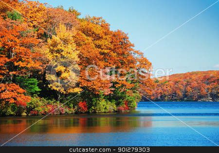 To use this stock image in your creative project, please select the size you need over to the right and click the "Add to Cart" button.
Your downloaded image will come with the Cutcaster watermark removed so don’t worry about the watermark you see on this page. Autumn foliage over lake stock photo, Autumn colorful foliage over lake with beautiful woods in red and yellow color. by rabbit75_cut