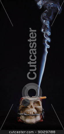 To use this stock image in your creative project, please select the size you need over to the right and click the "Add to Cart" button.
Your downloaded image will come with the Cutcaster watermark removed so don’t worry about the watermark you see on this page. smoking kills stock photo, smoking kills concept. Cigarette in skull ashtray. by johnnychaos