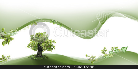 Nature header and footer Nature header and footer stock photo, Nature header and footer with beech tree by TLFurrer