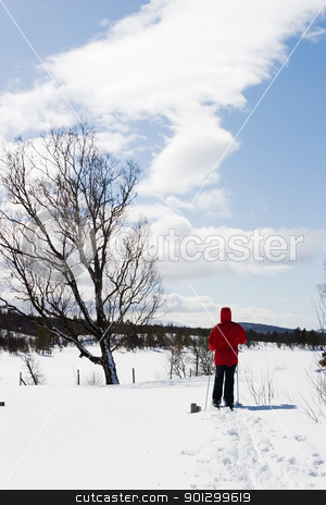 To use this stock image in your creative project, please select the size you need over to the right and click the "Add to Cart" button.
Your downloaded image will come with the Cutcaster watermark removed so don’t worry about the watermark you see on this page. Cross Country Landscape stock photo, A skier on a wintery snow filled landscape. by Tyler Olson