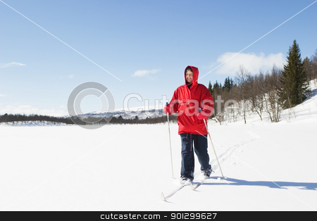To use this stock image in your creative project, please select the size you need over to the right and click the "Add to Cart" button.
Your downloaded image will come with the Cutcaster watermark removed so don’t worry about the watermark you see on this page. Cross Country Landscape stock photo, A skier on a wintery snow filled landscape. by Tyler Olson