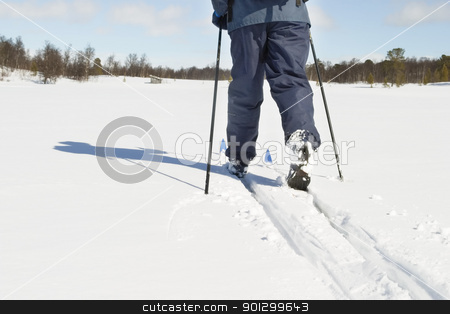 To use this stock image in your creative project, please select the size you need over to the right and click the "Add to Cart" button.
Your downloaded image will come with the Cutcaster watermark removed so don’t worry about the watermark you see on this page. Cross Country Landscape stock photo, A skier on a wintery snow filled landscape. by Tyler Olson