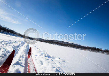 To use this stock image in your creative project, please select the size you need over to the right and click the "Add to Cart" button.
Your downloaded image will come with the Cutcaster watermark removed so don’t worry about the watermark you see on this page. Cross Country Skies stock photo, A cross country skiier skiing off trail back country by Tyler Olson