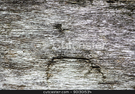 To use this stock image in your creative project, please select the size you need over to the right and click the "Add to Cart" button.
Your downloaded image will come with the Cutcaster watermark removed so don’t worry about the watermark you see on this page. Weathered Wood Background stock photo, Old weathered wood background texture by Tyler Olson