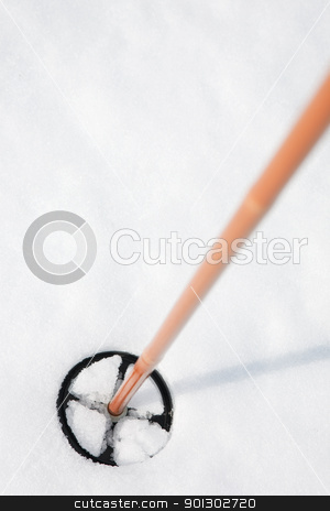 To use this stock image in your creative project, please select the size you need over to the right and click the "Add to Cart" button.
Your downloaded image will come with the Cutcaster watermark removed so don’t worry about the watermark you see on this page. Ski Pole stock photo, A ski pole in snow by Tyler Olson