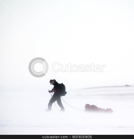 To use this stock image in your creative project, please select the size you need over to the right and click the "Add to Cart" button.
Your downloaded image will come with the Cutcaster watermark removed so don’t worry about the watermark you see on this page. Winter Wilderness Adventure stock photo, An adventurer in a cold winter storm by Tyler Olson