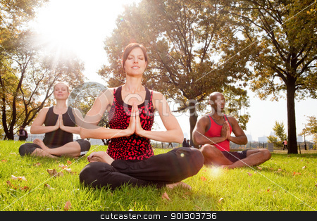 Meditation Meditation stock photo, A group of people meditation in the park - taken into the sun with lens flare by Tyler Olson