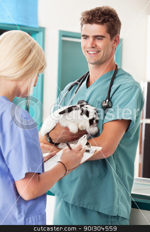 To use this stock image in your creative project, please select the size you need over to the right and click the "Add to Cart" button.
Your downloaded image will come with the Cutcaster watermark removed so don’t worry about the watermark you see on this page. A rabbit at the vet having a check-up stock photo, Portrait of a veterinarian holding rabbit with assistant taking report in animal hospital by Tyler Olson