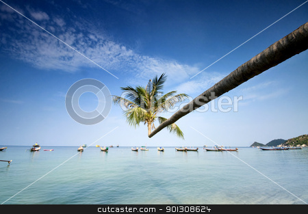 To use this stock image in your creative project, please select the size you need over to the right and click the "Add to Cart" button.
Your downloaded image will come with the Cutcaster watermark removed so don’t worry about the watermark you see on this page. palm and boats on tropical beach stock photo, palm and longtail boats on tropical beach. Ko Tao island, Thailand by johnnychaos