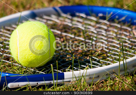 To use this stock image in your creative project, please select the size you need over to the right and click the "Add to Cart" button.
Your downloaded image will come with the Cutcaster watermark removed so don’t worry about the watermark you see on this page. Tennis Ball and Racquet stock photo, Tenis ball and racquet on grass by ruigsantos