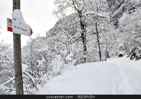 To use this stock image in your creative project, please select the size you need over to the right and click the "Add to Cart" button.
Your downloaded image will come with the Cutcaster watermark removed so don’t worry about the watermark you see on this page. winter landscape stock photo, winter landscape with trees covered in snow by freeteo