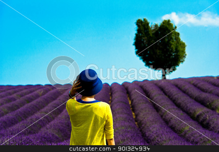 Tourist in front of fields of lavander Tourist in front of fields of lavander stock photo, Europe, France, Alpes-de-Haute-Provence (04), parc naturel régional du Verdon, plateau de Valensole, touriste devant un champs de lavande. by Scanella