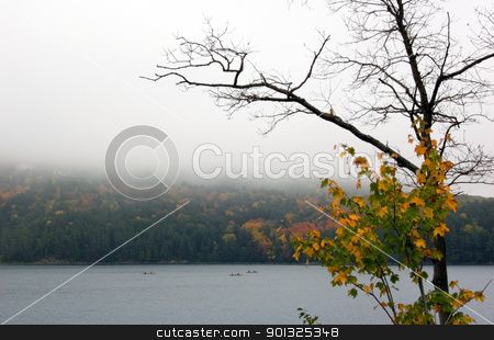 Lake Lake stock photo, Canoing at Killarney Lake in overcast day
by Pavel Cheiko