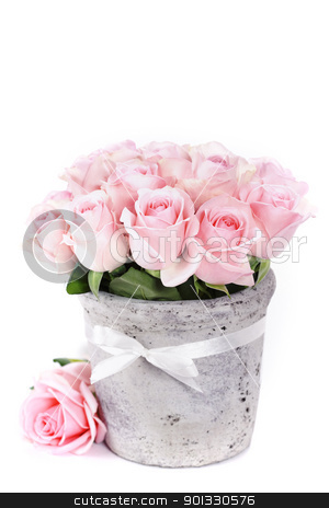 To use this stock image in your creative project, please select the size you need over to the right and click the "Add to Cart" button.
Your downloaded image will come with the Cutcaster watermark removed so don’t worry about the watermark you see on this page. roses in a pot stock photo, bouquet of pink roses in a pot on the white background by klenova