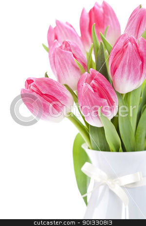 Pink tulips Pink tulips stock photo, Pink tulips on white background by klenova