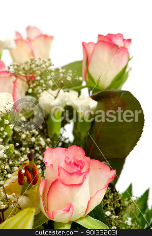 To use this stock image in your creative project, please select the size you need over to the right and click the "Add to Cart" button.
Your downloaded image will come with the Cutcaster watermark removed so don’t worry about the watermark you see on this page. Bouquet stock photo, Bouquet flowers taken on a clean white background by Lars Christensen