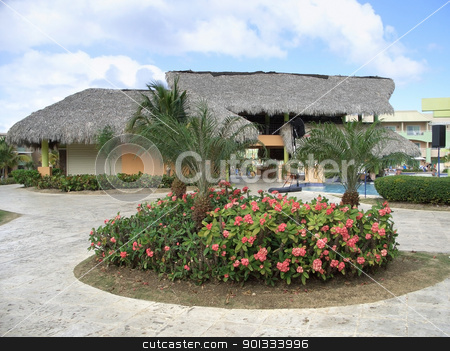 To use this stock image in your creative project, please select the size you need over to the right and click the "Add to Cart" button.
Your downloaded image will come with the Cutcaster watermark removed so don’t worry about the watermark you see on this page. holiday resort at Dominican Republic stock photo, holiday resort at the Dominican Republic, a island of Hispanola wich is a part of the Greater Antilles archipelago in the Carribean region by prill