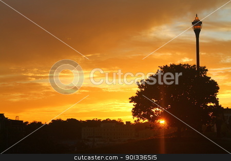 Lamp sunset Lamp sunset stock photo, A tree, a lamp and an exciting sunset in Alamo Square by willeye