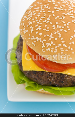 To use this stock image in your creative project, please select the size you need over to the right and click the "Add to Cart" button.
Your downloaded image will come with the Cutcaster watermark removed so don’t worry about the watermark you see on this page. Classic Hamburger with cheese tomato and salad stock photo, Classic Hamburger with cheese tomato and salad on dishware by Ulrich Schade