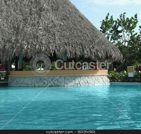 To use this stock image in your creative project, please select the size you need over to the right and click the "Add to Cart" button.
Your downloaded image will come with the Cutcaster watermark removed so don’t worry about the watermark you see on this page. pool bar stock photo, pool and poolbar detail at the Dominican Republic, a island of Hispanola wich is a part of the Greater Antilles archipelago in the Carribean region by prill