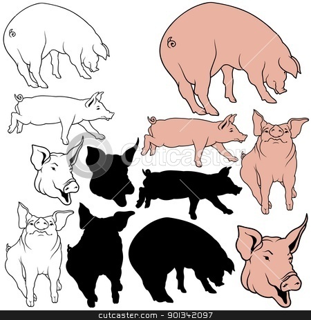 To use this stock image in your creative project, please select the size you need over to the right and click the "Add to Cart" button.
Your downloaded image will come with the Cutcaster watermark removed so don’t worry about the watermark you see on this page. Pig Collection stock photo, Pig Collection - animal illustrations by derocz