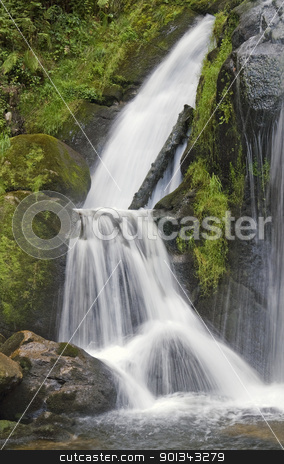 To use this stock image in your creative project, please select the size you need over to the right and click the "Add to Cart" button.
Your downloaded image will come with the Cutcaster watermark removed so don’t worry about the watermark you see on this page. idyllic Triberg Waterfalls stock photo, scenery showing the Triberg Waterfalls in the Black Forest in Southern Germany at summer time by prill