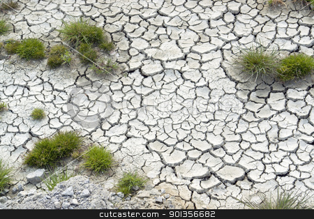 Grass plants in arid ambiance grass plants in arid ambiance stock photo, high angle view of some grass plants in dry muddy ambiance by prill