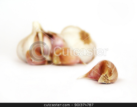 To use this stock image in your creative project, please select the size you need over to the right and click the "Add to Cart" button.
Your downloaded image will come with the Cutcaster watermark removed so don’t worry about the watermark you see on this page. Clove of garlic stock photo, Clove of garlic, with garlics on the background by orson