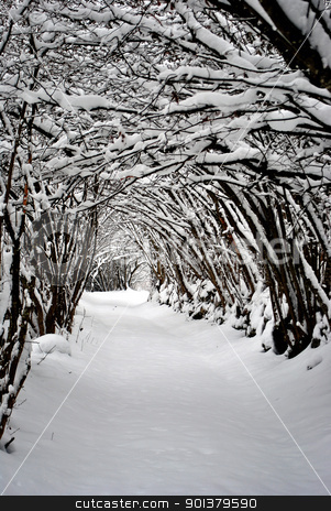 To use this stock image in your creative project, please select the size you need over to the right and click the "Add to Cart" button.
Your downloaded image will come with the Cutcaster watermark removed so don’t worry about the watermark you see on this page. snow in mountains stock photo, Trees covered with hoarfrost and snow in mountains by freeteo