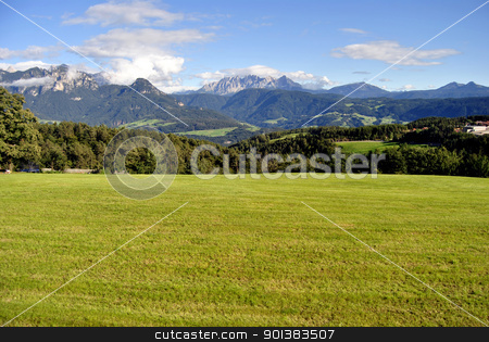 To use this stock image in your creative project, please select the size you need over to the right and click the "Add to Cart" button.
Your downloaded image will come with the Cutcaster watermark removed so don’t worry about the watermark you see on this page. Renon stock photo, Beautiful green mountain landscape with trees in Renon, Italy, South Tyrol by freeteo