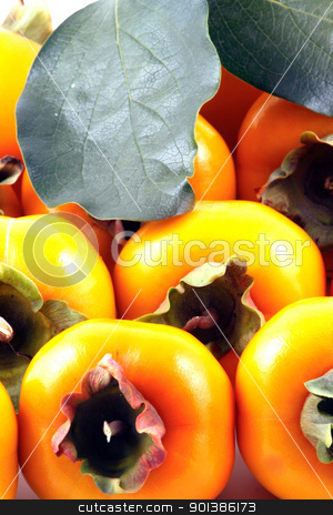 To use this stock image in your creative project, please select the size you need over to the right and click the "Add to Cart" button.
Your downloaded image will come with the Cutcaster watermark removed so don’t worry about the watermark you see on this page. Persimmon stock photo, Persimmon by Nenov Brothers Images