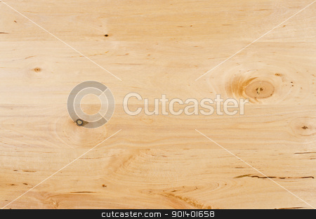 To use this stock image in your creative project, please select the size you need over to the right and click the "Add to Cart" button.
Your downloaded image will come with the Cutcaster watermark removed so don’t worry about the watermark you see on this page. Texture of pine wood stock photo, Horizontal view of texture of pine wood background. by Homydesign