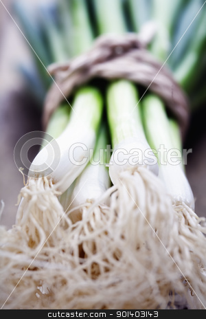 Green Onion Green Onion stock photo, Green Onion close up shoot by klenova