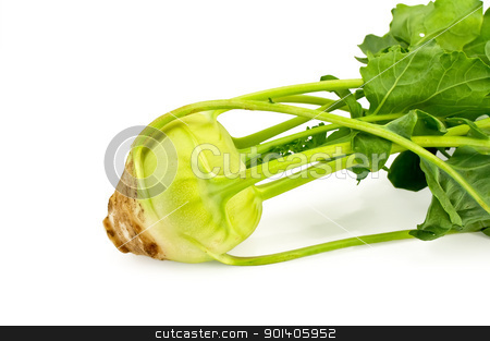To use this stock image in your creative project, please select the size you need over to the right and click the "Add to Cart" button.
Your downloaded image will come with the Cutcaster watermark removed so don’t worry about the watermark you see on this page. Kohlrabi stock photo, One head of cabbage kohlrabi with leaves isolated on white background by rezkrr