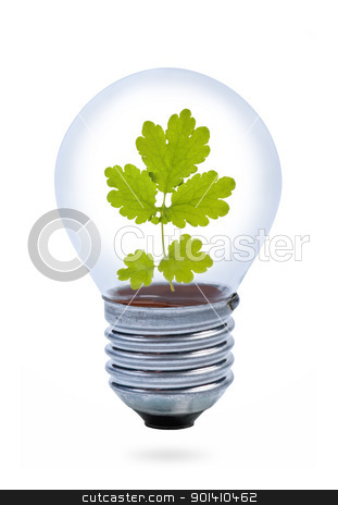 Light bulb with leaves inside. Light bulb with leaves inside. stock photo, Light bulb with leaves inside. by Borys Shevchuk