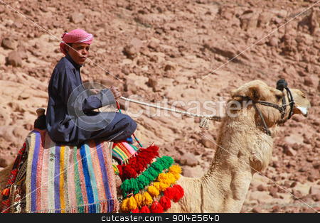Camel guide camel guide stock photo, EGYPT - FEBRUARY 5: Camel guide climbing to Mount Sinai on February 5, 2011 in St Catherine's district, Egypt. Camels are often used to assist fatigued tourists climbing the 2285m summit. by Paul Prescott
