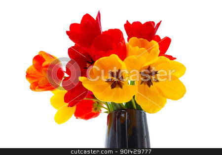 To use this stock image in your creative project, please select the size you need over to the right and click the "Add to Cart" button.
Your downloaded image will come with the Cutcaster watermark removed so don’t worry about the watermark you see on this page. fresh tulips stock photo, bouquet of fresh tulips by sutike